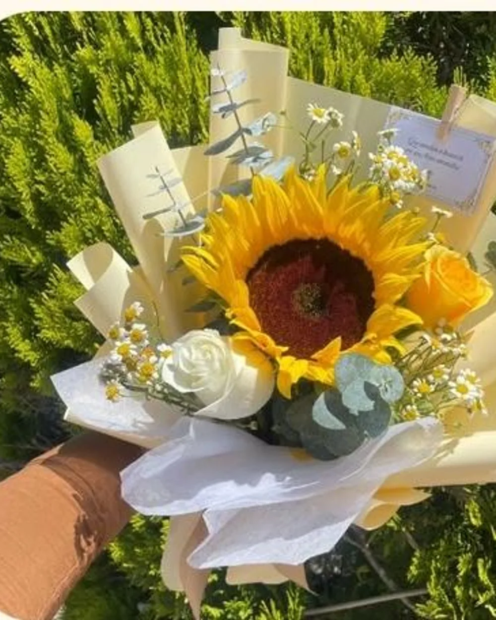 Ramo 1: Girasol + rosa blanca + rosa amarilla + Santa María + dólar