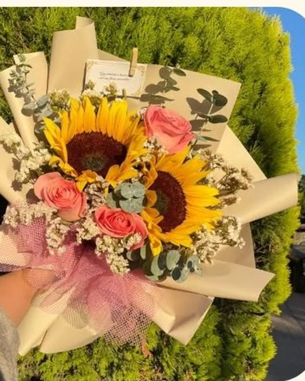 Ramo 2: Girasoles + rosa + estatis + dólar